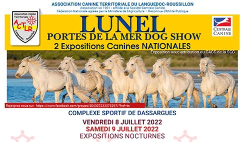 Du Domaine d'Attilio - CACS de Lunel (34) Exposition Nationale 8 juillet 2022